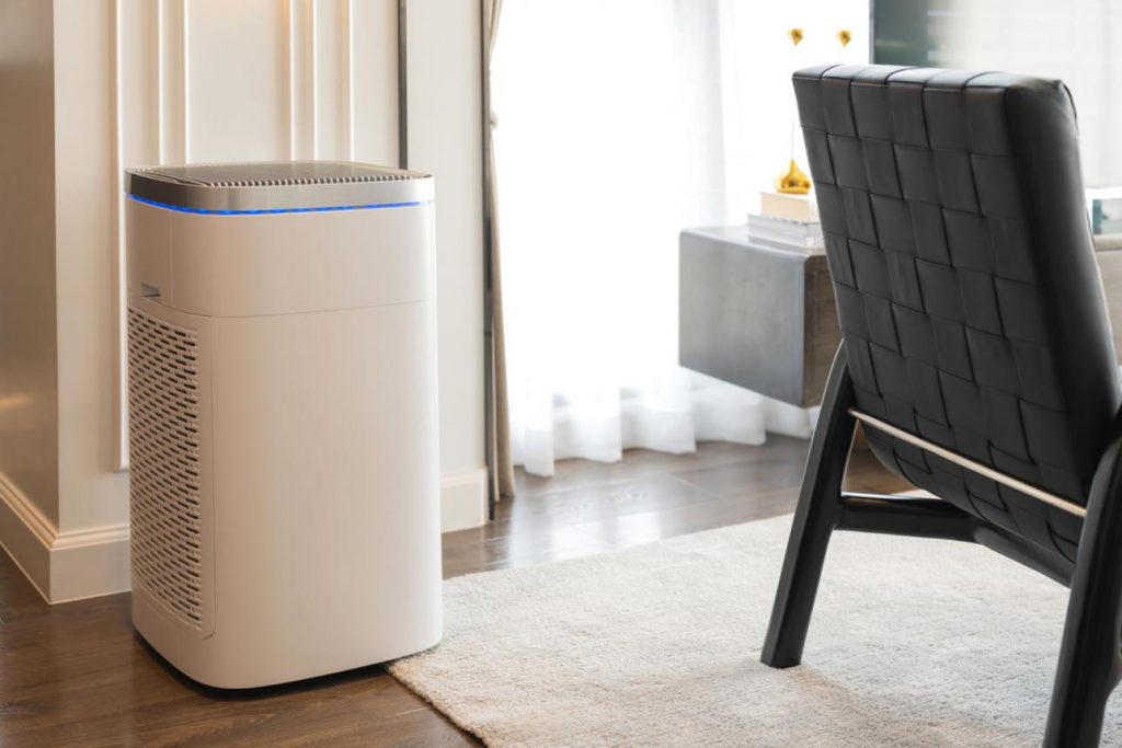 Do Air Purifiers for Mold Really Work?