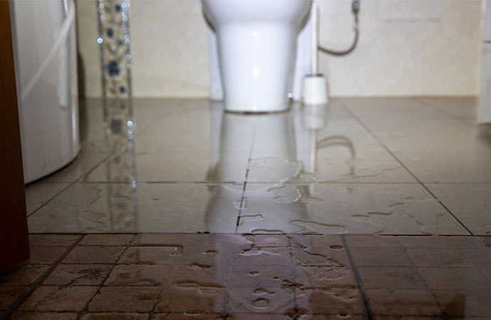 Toilet Overflow Water Damage Cleanup