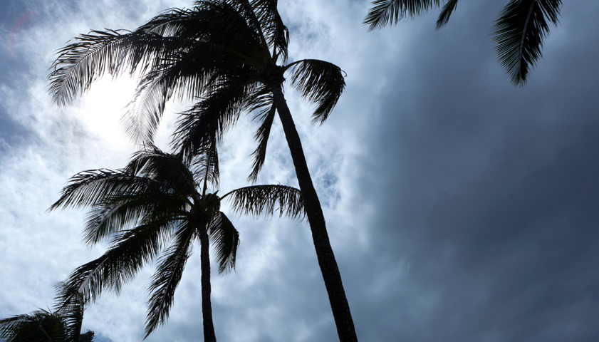 Hurricane Season