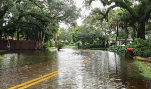 July in Florida