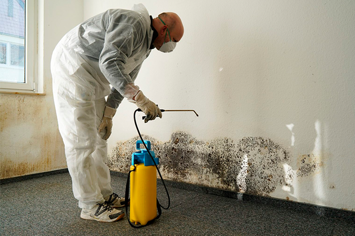 Protect your property from Mmold