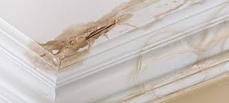 Ceiling with Water Damage