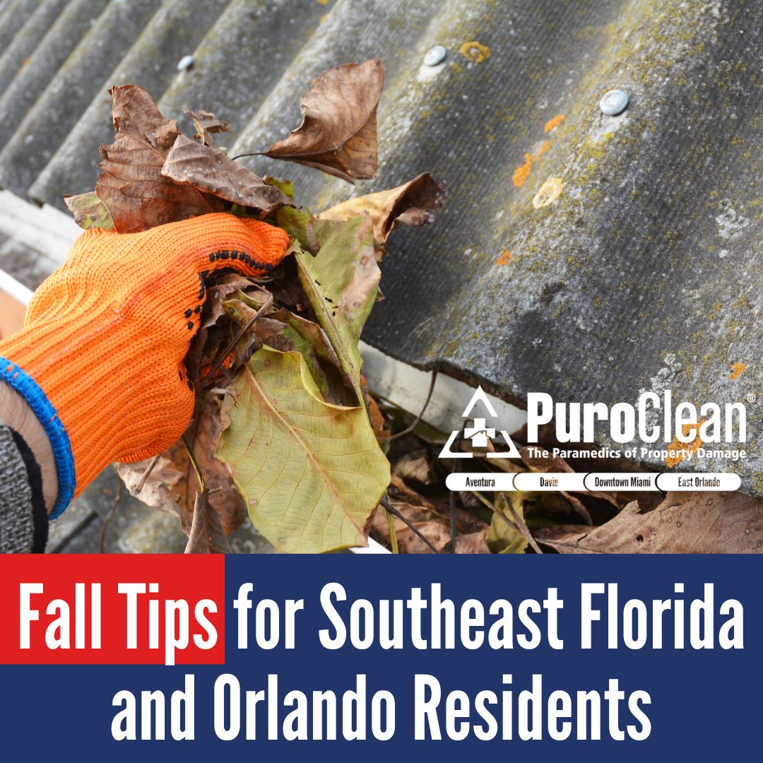 Fall Tips for Southeast Florida and Orlando Residents: Staying Safe and Prepared