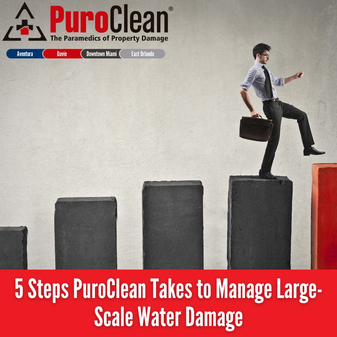 5 Steps PuroClean of Downtown Miami Takes to Restore Large-Scale Water Damage