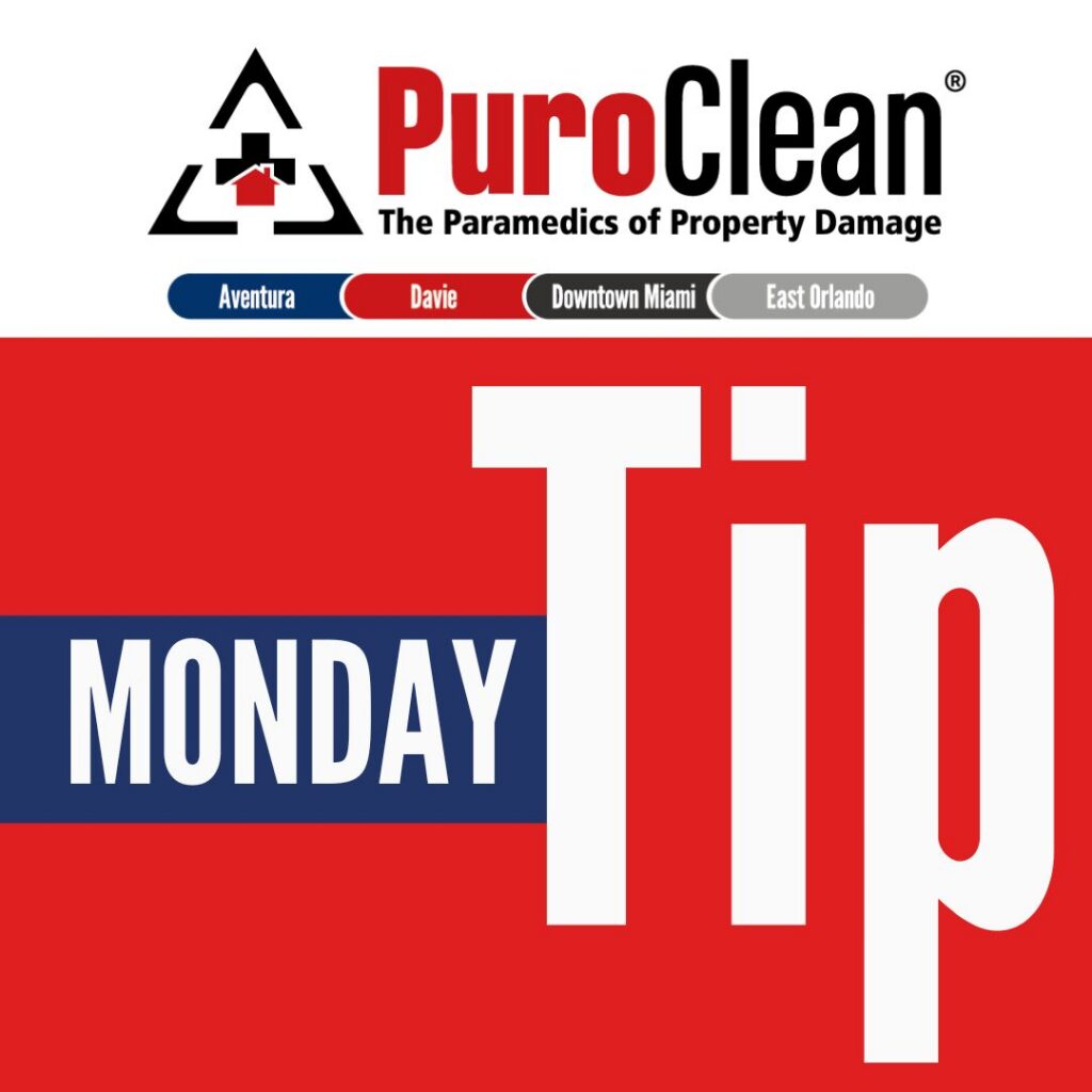 PuroClean logo with "MONDAY Tip" text, emphasizing water damage prevention advice.
