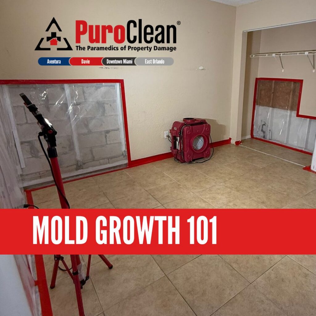 Mold