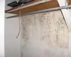 Upper wall with mold prior to mold damage remediation process