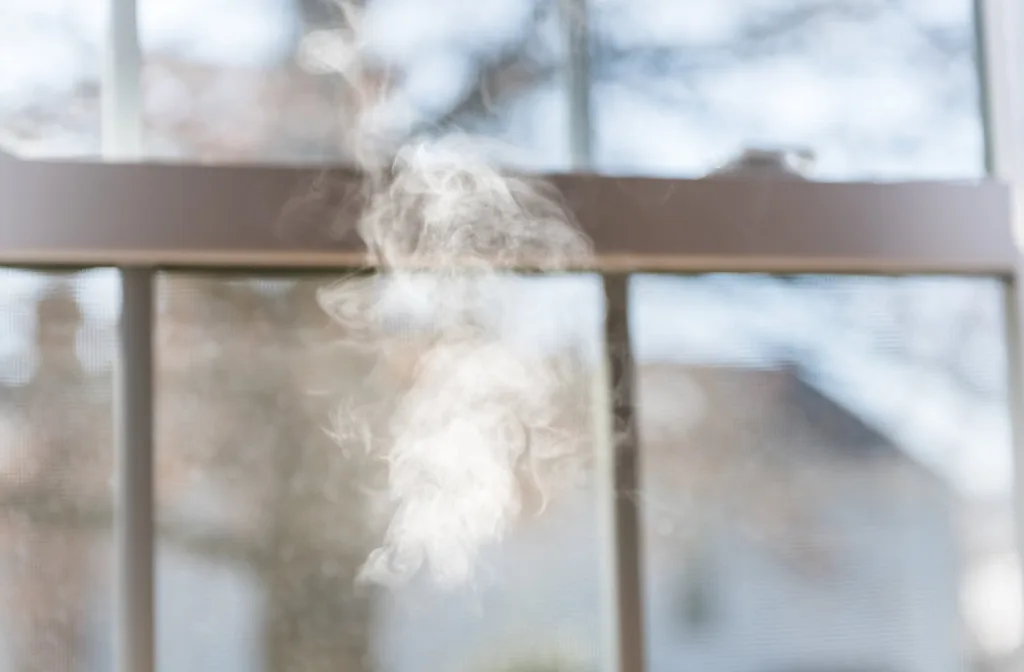 Cigarette smoke