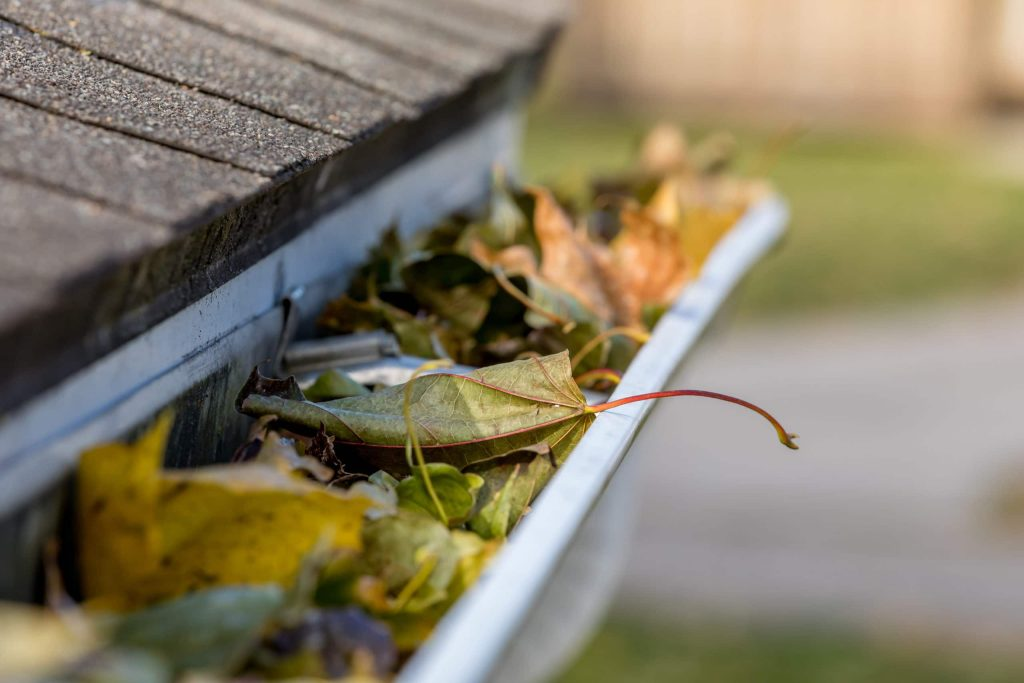 leaves in gutter | preparing your home for winter 