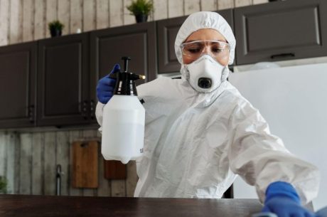 Mold Damage Removal In Manville NJ