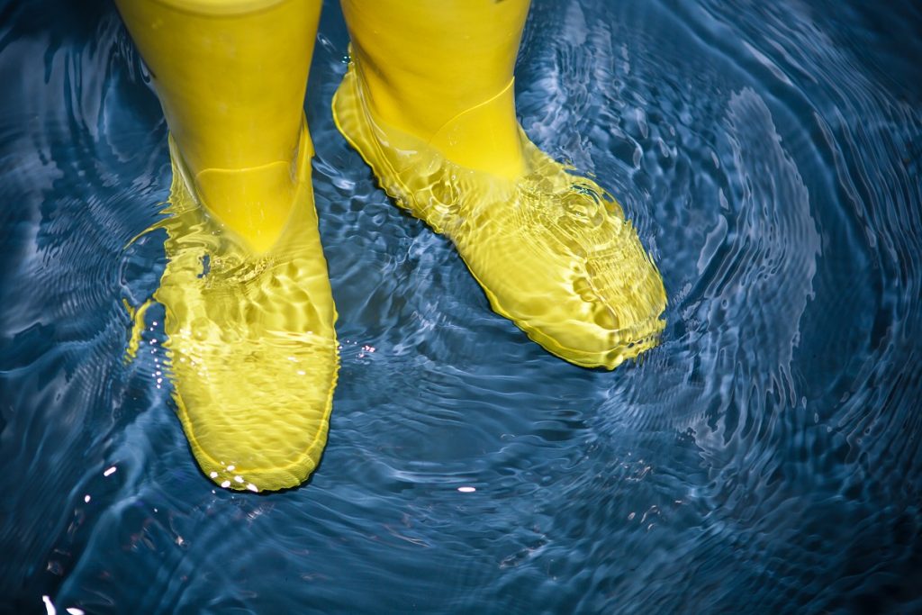 Flood Restoration