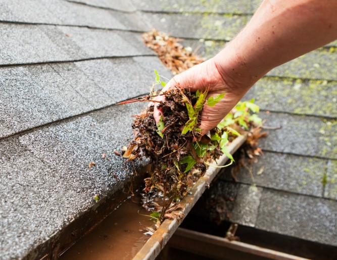 Spring Home Maintenance