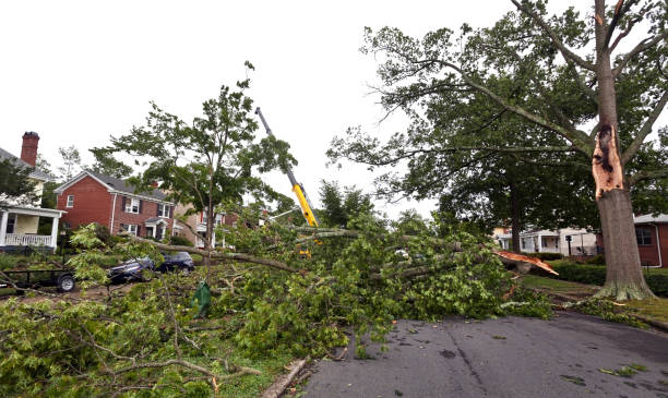 Storm damage