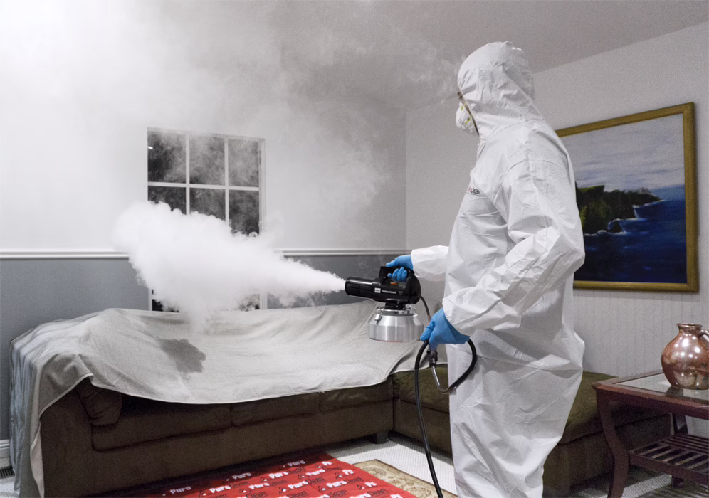 smoke and odor removal services