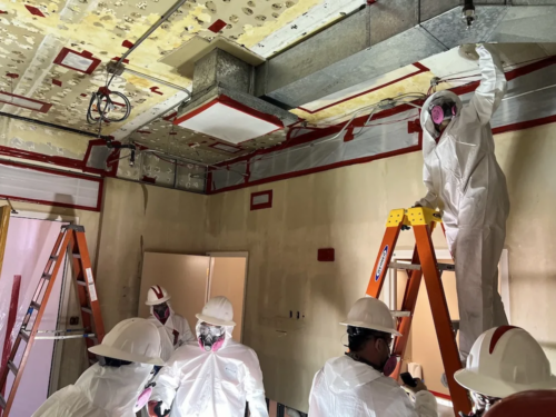 commercial services for mold remediation