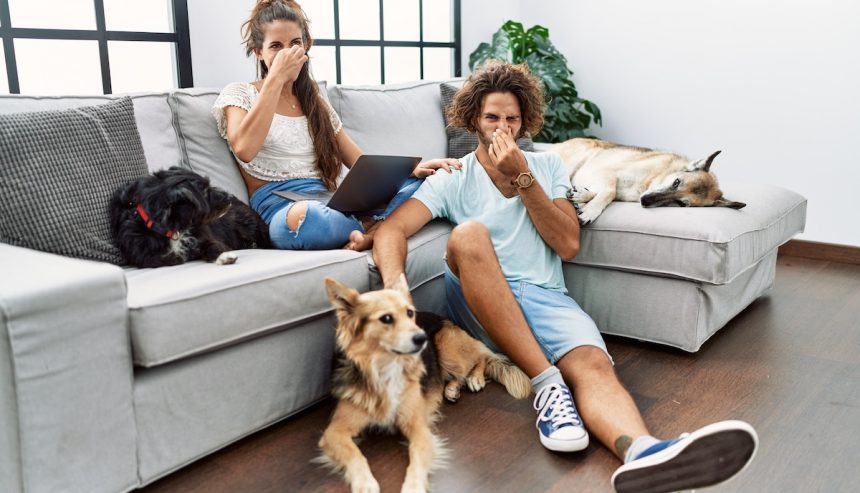 A couple sitting on a couch with pets, holding their noses, suggesting unpleasant pet odors in the home.