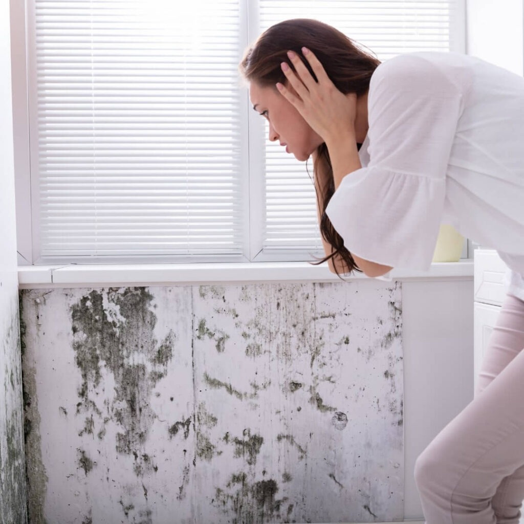 Mold Remediation Secrets What Professionals Wish You Knew