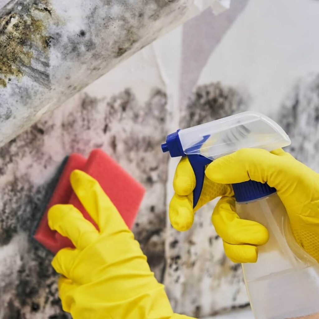 Choosing a Damage Restoration Service