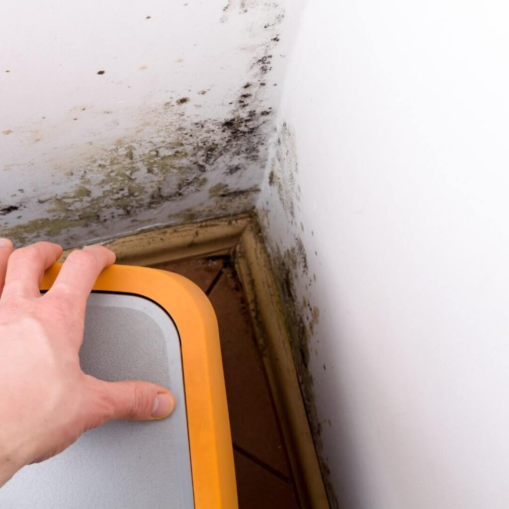 Detecting Hidden Mold
