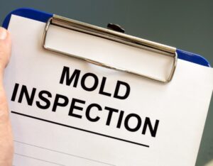Why Mold Inspection Services Are Crucial for Homeowners in Millersville