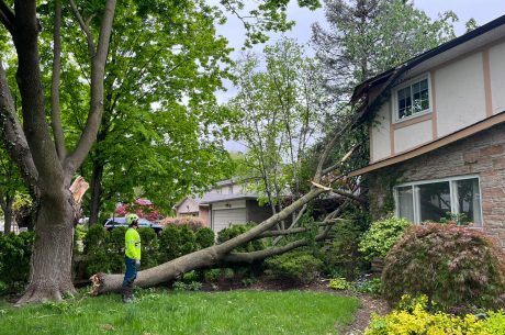 storm damage