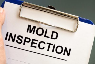 Why Mold Inspection Services Are Crucial for Homeowners in Millersville