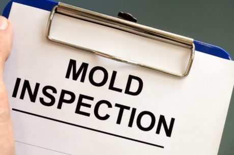 Why Mold Inspection Services Are Crucial for Homeowners in Millersville