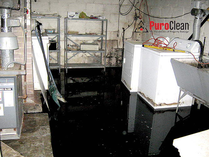 sewage cleanup