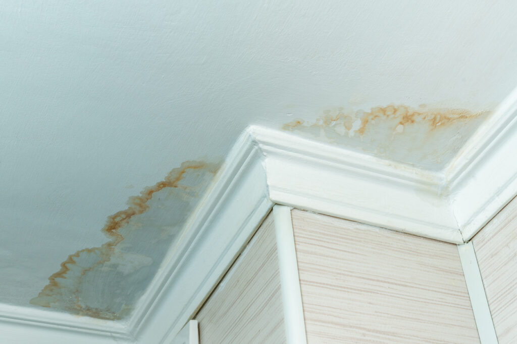 hidden water damage