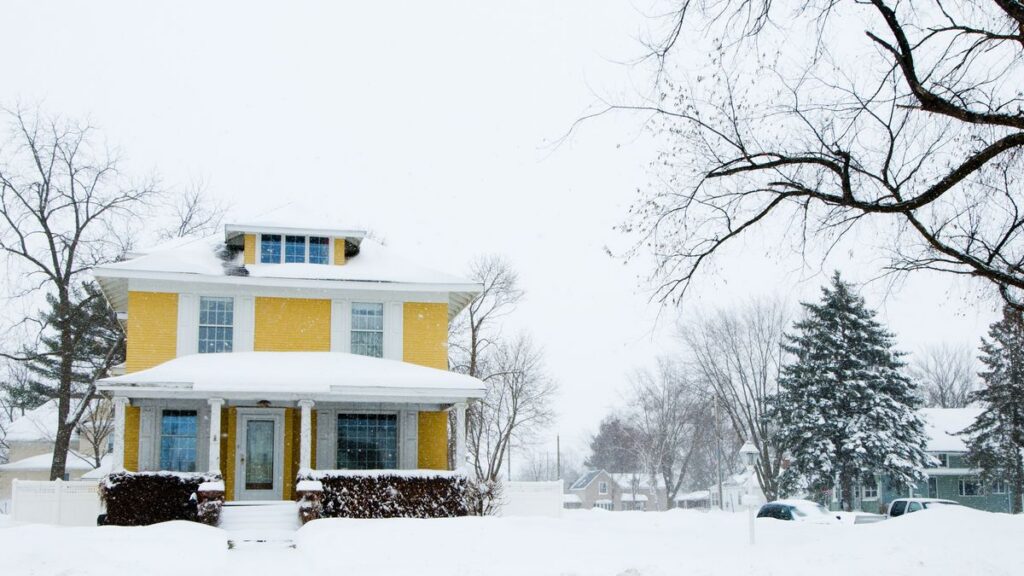 Winter Damage
