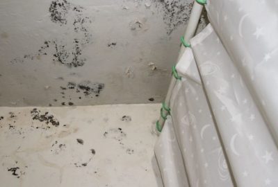 mold