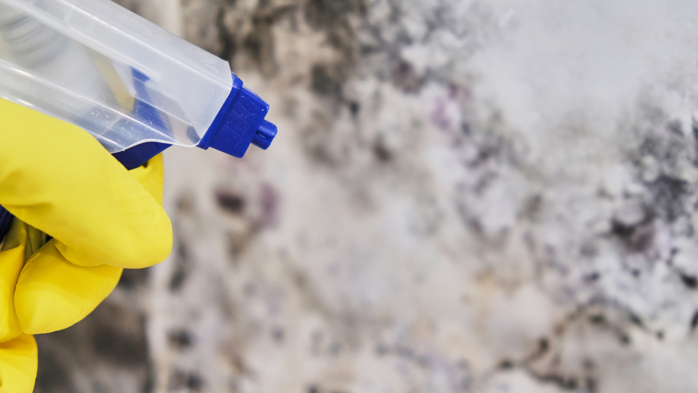 A person in yellow gloves sprays a cleaning solution onto a textured, dirty surface.