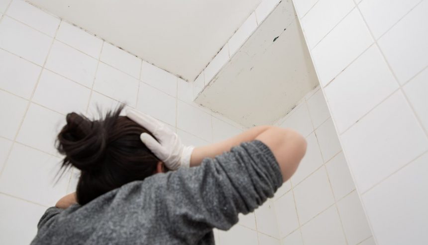 mold on bathroom tiles and grout