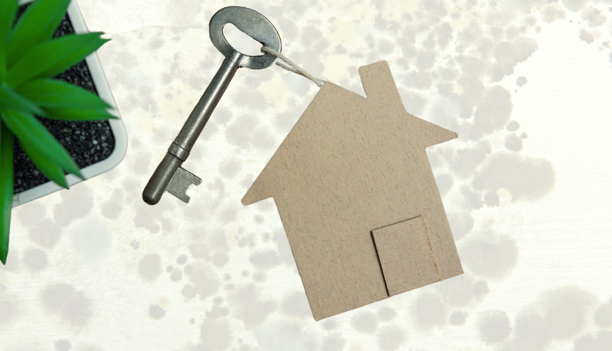 graphics of house and key against a background of mold