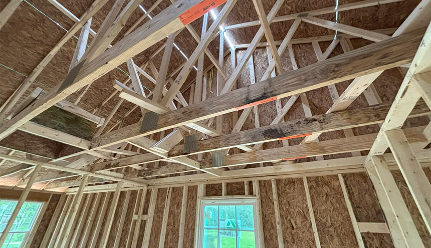 mold in new construction on rafters