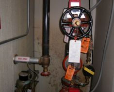 Mold in closet