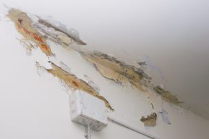 office mold and water damage