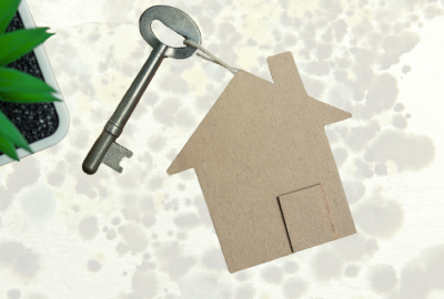 graphics of house and key against a background of mold