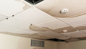 signs of mold on commercial ceilings - dark spots on sagging ceiling tiles