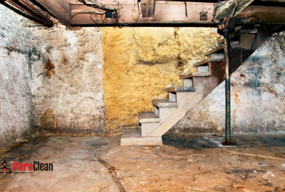 stairs eading to moldy, musty-smelling basement