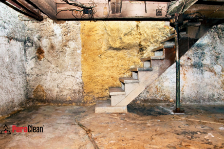 stairs eading to moldy, musty-smelling basement