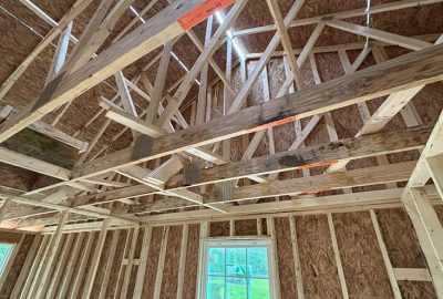 mold in new construction on rafters