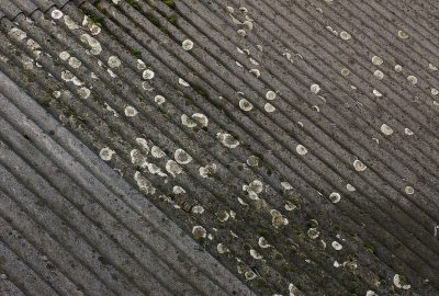 Asbestos testing