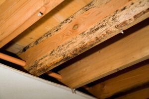 Water Damage