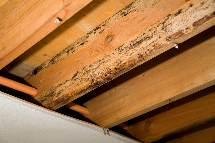 Water Damage