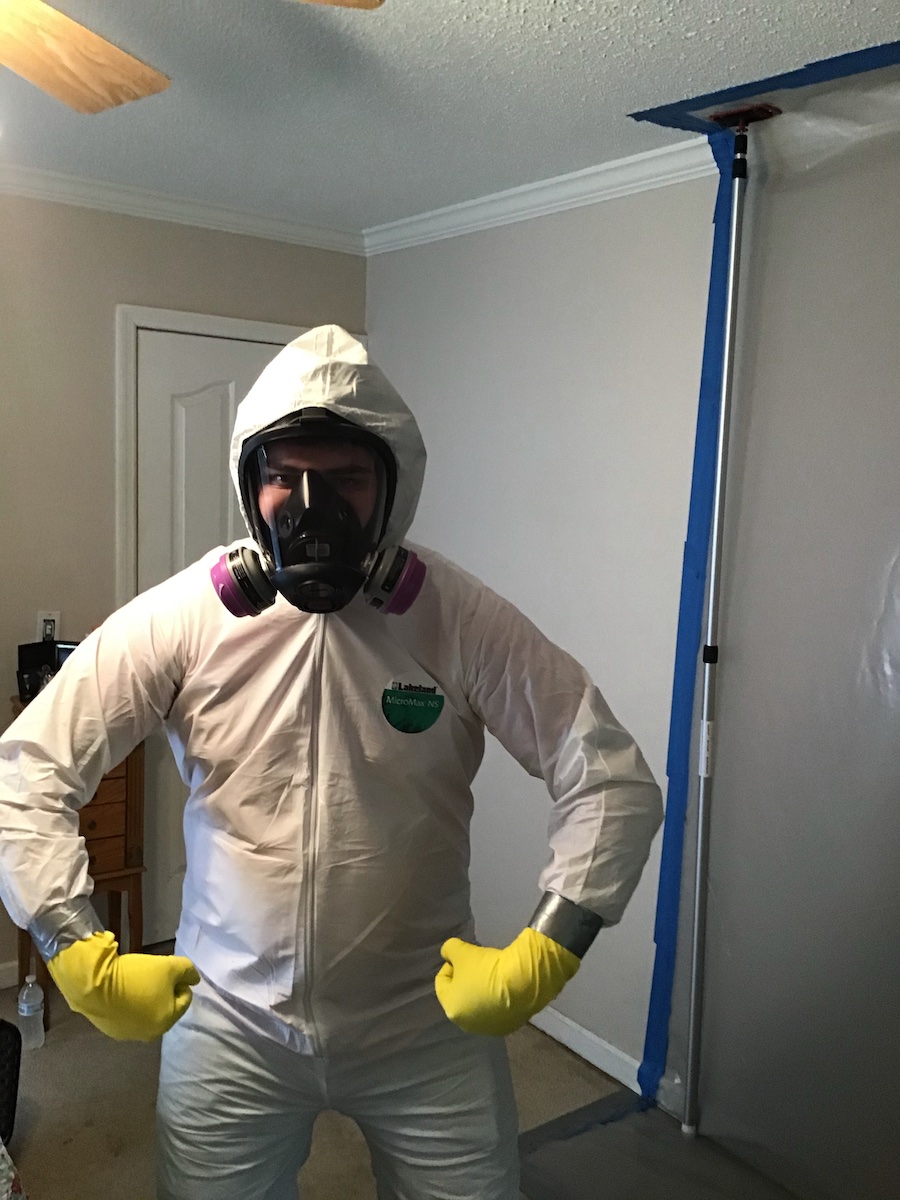 Mold is No Match