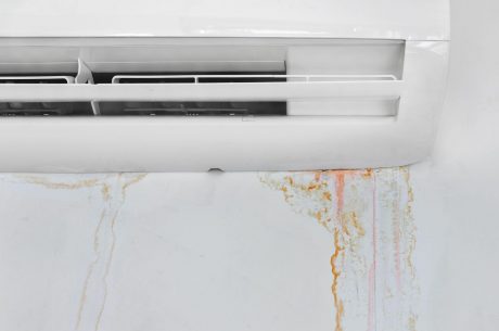 commercial mold remediation