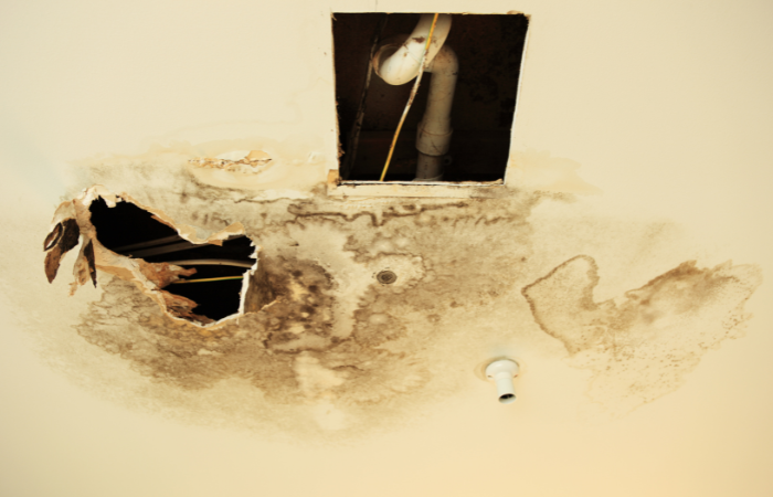 Understanding Water Damage