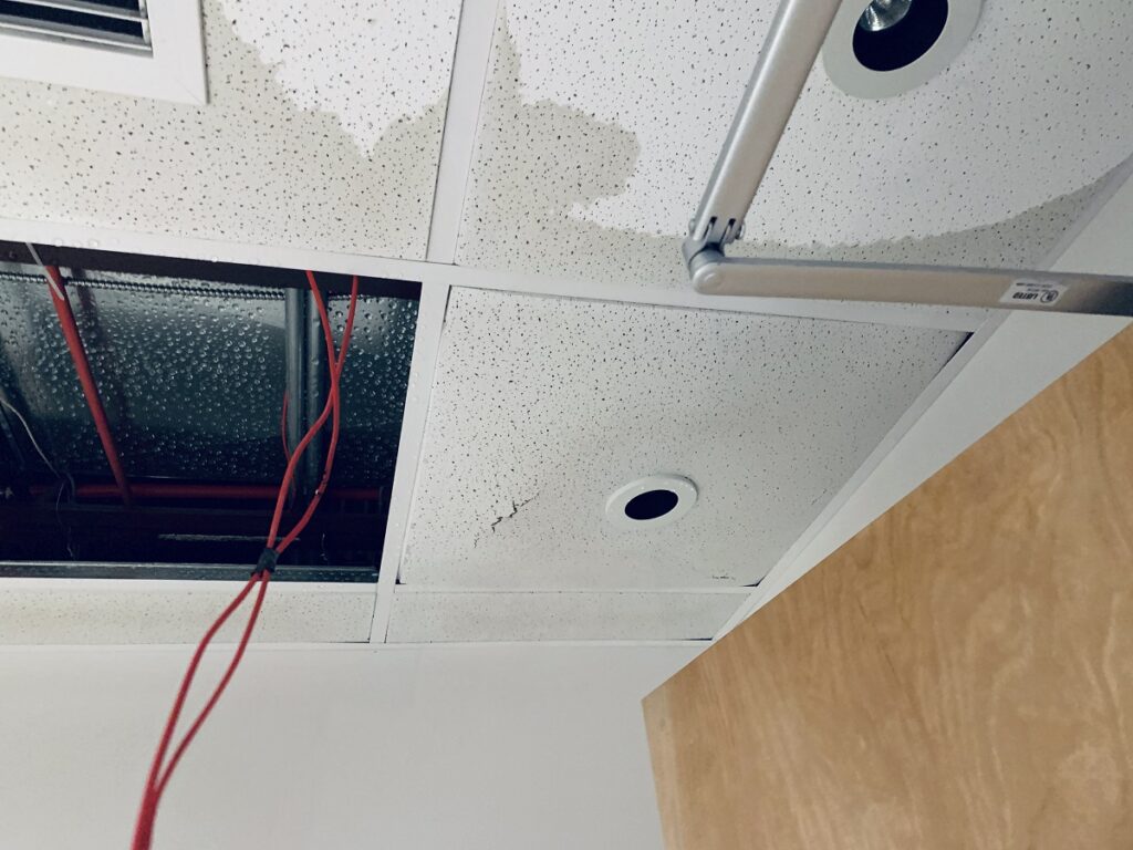 water damage restoration New City