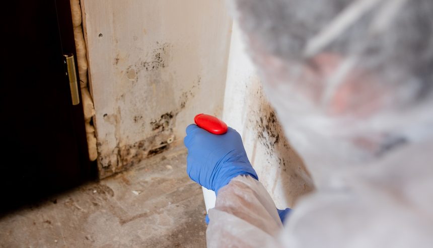 Mold removal in Fair Lawn